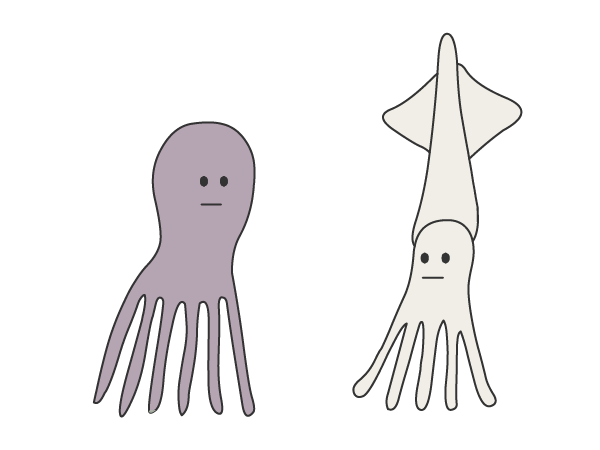 タコとイカ