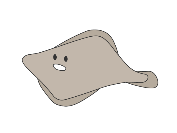 ヒラメくん